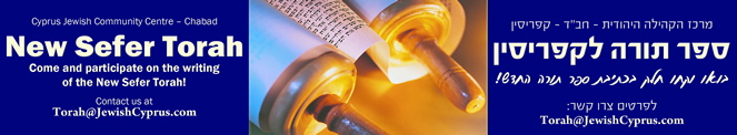torah image.jpg